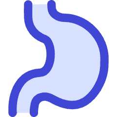 Stomach Icon from Flex Duo Set