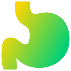 Stomach Icon from Plump Gradient Set