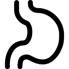 Stomach Icon from Flex Line Set