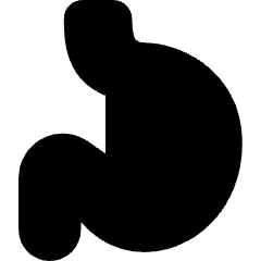 Stomach Icon from Core Solid Set