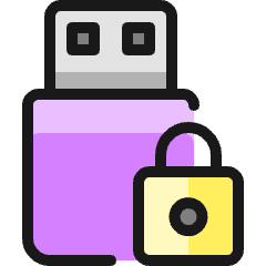 Flash Drive Lock Icon from Ultimate Colors Set