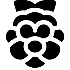 Raspberry Pi Icon from Ultimate Bold Set
