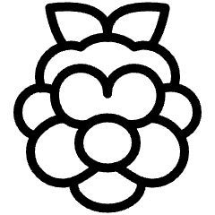 Raspberry Pi Icon from Ultimate Light Set