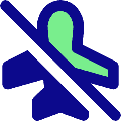 Airplane Disabled Icon from Core Pop Set