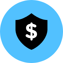 Money Shield Icon from Kameleon Pop Set