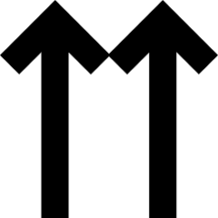 Double Line Arrow Up Icon from Sharp Solid Set