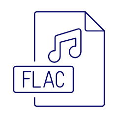 Format File Flac Illustration from UX Line Set