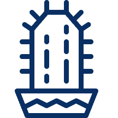 Cactus Icon from Cyber Line Set