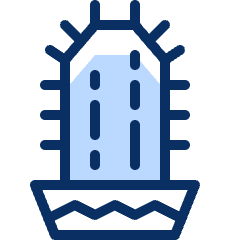 Cactus Icon from Cyber Duotone Set