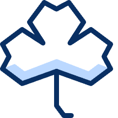 Clover Icon from Cyber Duotone Set