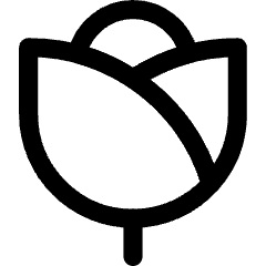 Rose Icon from Core Line Set