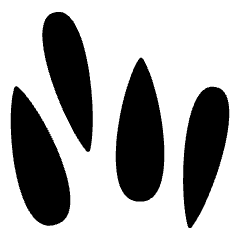 Oat 2 Icon from Ultimate Bold Set