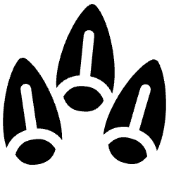 Rye 2 Icon from Ultimate Bold Set