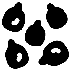 Sesame Icon from Ultimate Bold Set