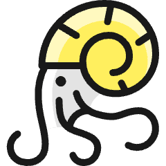 Squid Shell Icon from Ultimate Colors Set