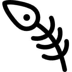 Peacock Feather Icon from Ultimate Regular Set