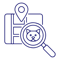 Finding Cat Illustration from UX Line Set