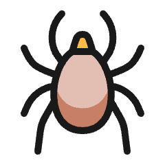 Pets Tick Icon from Ultimate Colors Set