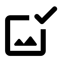 Approved Photo Alternate Icon from Rounded Line - Material Pro Set