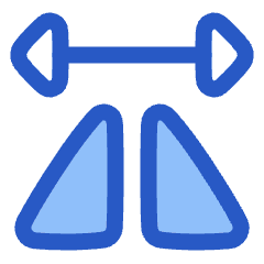 Mirror Horizontally Icon from Plump Duo Set