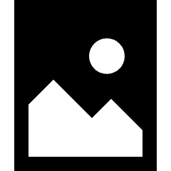 Orientation Portrait Icon from Sharp Solid Set