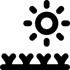 Organic Sun Growth Icon from Ultimate Bold Set