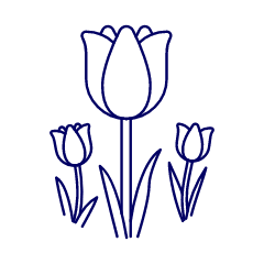 Tulip Illustration from UX Line Set