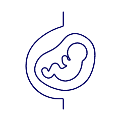 Pregnancy 1 Illustration from UX Line Set