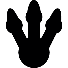 Dinosaur Footprint Icon from Ultimate Bold Set