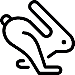 Rabbit Running Icon from Ultimate Light Set