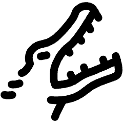 Crocodile Head Side Icon from Ultimate Regular Set