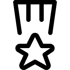 Award Medal 2 Icon from Ultimate Regular Set