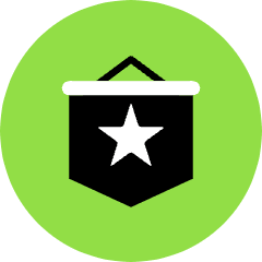 Flag Star Icon from Kameleon Pop Set
