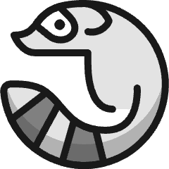 Raccoon 1 Icon from Ultimate Colors Set