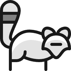 Raccoon Icon from Ultimate Colors Set