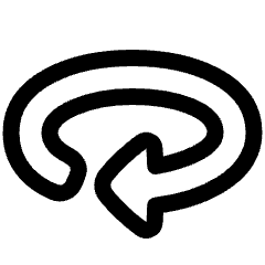 Triangle Arrow Rotate Horizontal Right Icon from Plump Line Set