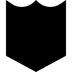 Shield 2 Icon from Sharp Solid Set