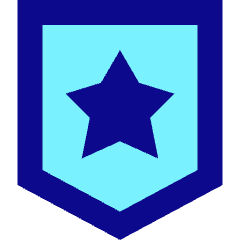 Shield Star Police Badge Icon from Sharp Pop Set