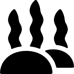 Shell Sea Grass Icon from Ultimate Bold Set