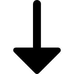 Triangle Arrow Down 1 Icon from Core Remix Set