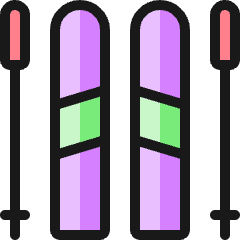 Skiing Skiis Icon from Ultimate Colors Set