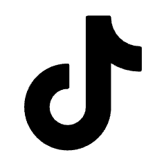 Tiktok Logo Icon from Ultimate Bold Set