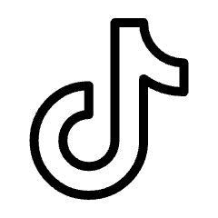 Tiktok Logo Icon from Ultimate Light Set