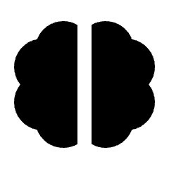 Sharp solid icon of a stylized brain split by a vertical gap. Used for neurology, healthcare, and brain science.