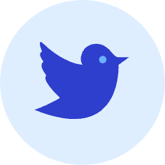 Twitter 2 Icon from Kameleon Duo Set