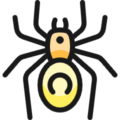 Spider Icon from Ultimate Colors Set