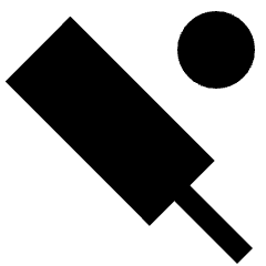 Cricket Icon from Sharp Solid Set