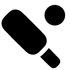 Cricket Icon from Plump Solid Set