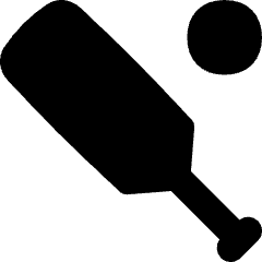 Cricket Icon from Flex Solid Set