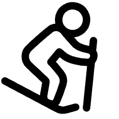 Downhill Skiing Icon from Plump Line Set